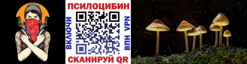Купить где  Мариинский Посад  Галлюциногенные грибы Magic Shrooms 