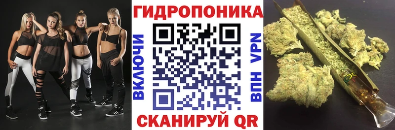 Бошки марихуана гибрид  Купить где  Мариинский Посад 